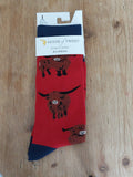 House of Tweed Highland Cow Red socks