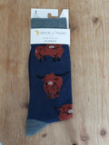 House of tweed Highland Cow navy socks