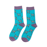 Pair of socks with dog pattern on a blue background